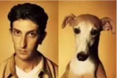 對(duì)于狗狗的這些秘密，您知道多少？