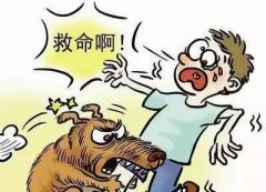 如遇惡犬咬人該怎么辦？這些知識(shí)也許能救命！