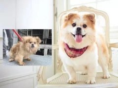 沒有誰(shuí)，天生丑陋。