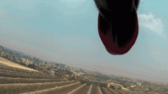 請(qǐng)你放過狗狗，不愛，但請(qǐng)別傷害！