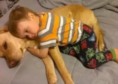 養狗千日，用在一時。。。。。