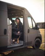 流浪貓私自闖上車被趕出，最后居然搭上順風車